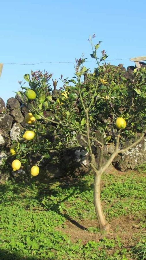 فيلا Santo Amaro في Casa Da Arquinha المظهر الخارجي الصورة